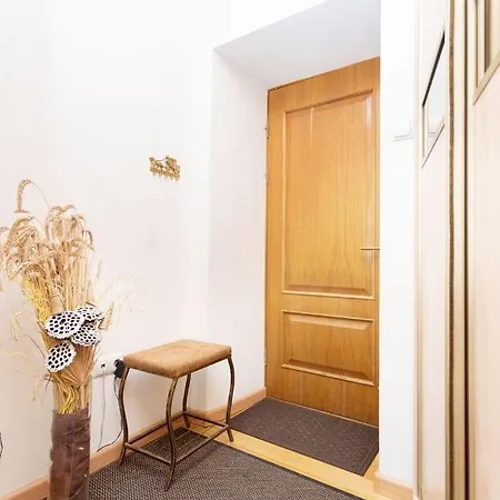 Apartment On Karla Marksa 11 *
